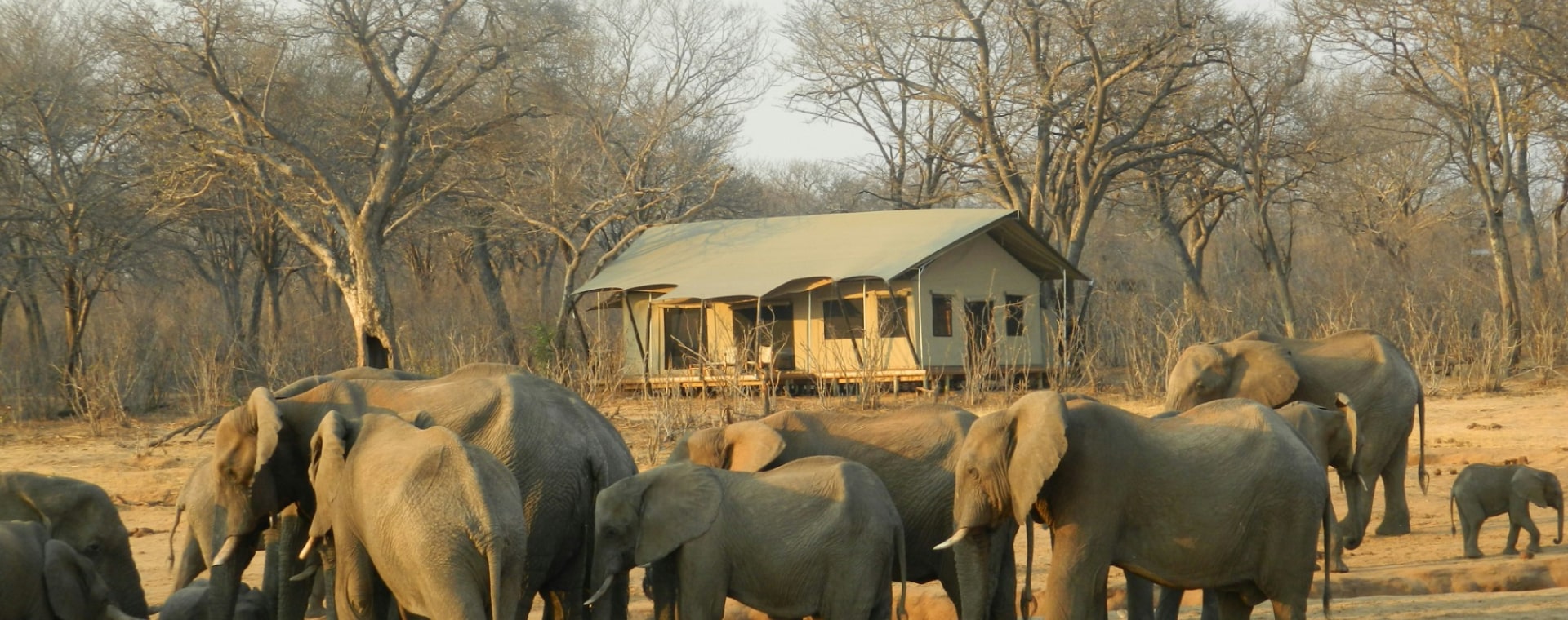 12 Days Uganda Safari Experience