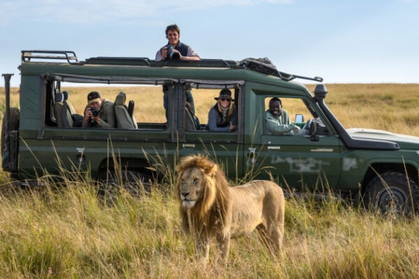 8-Day Tanzania Mid-Range Safari