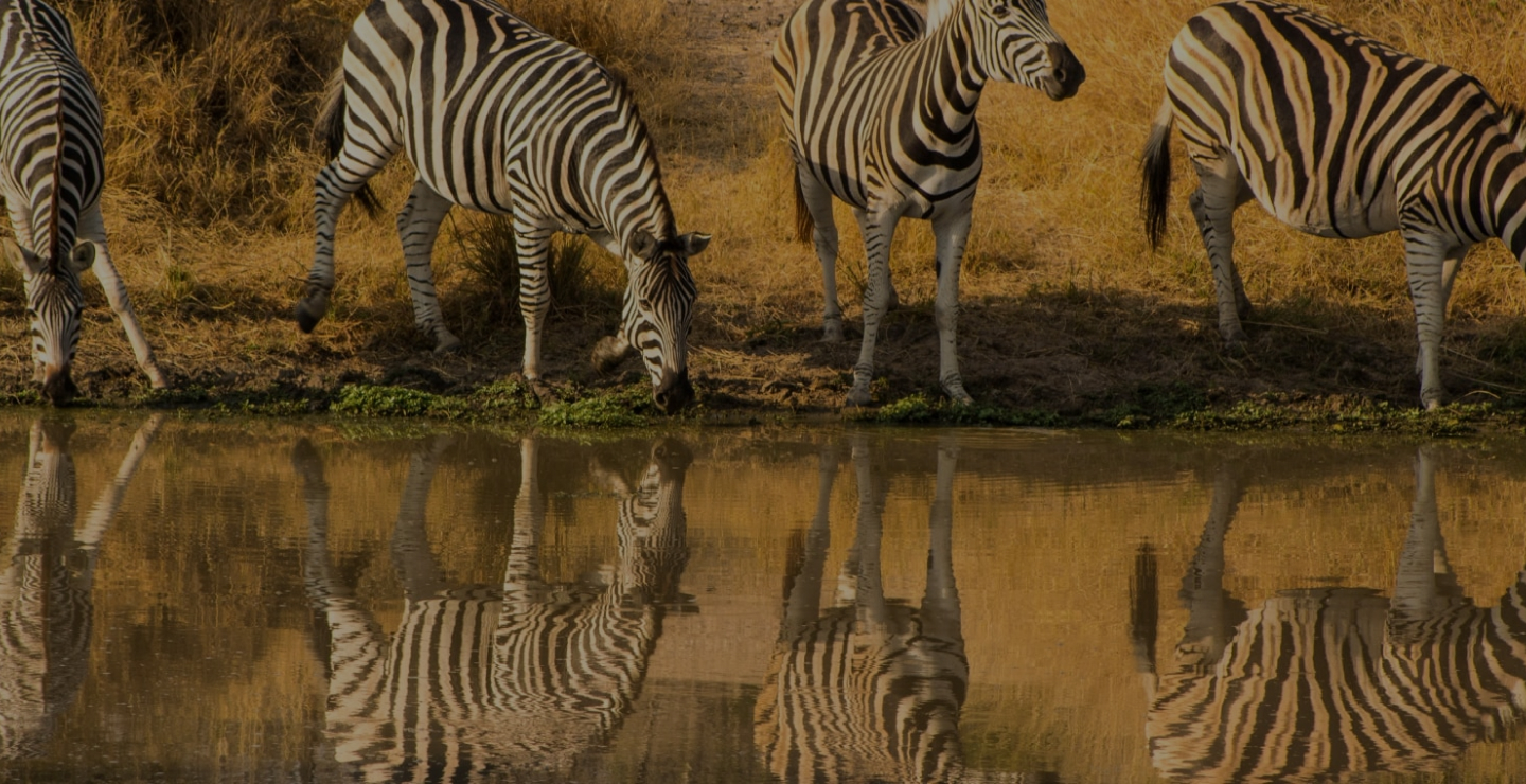 9-Day Tanzania Adventure Safari