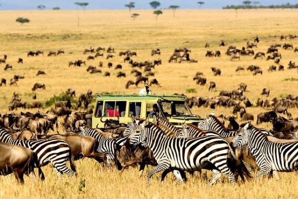 Serengeti National Park