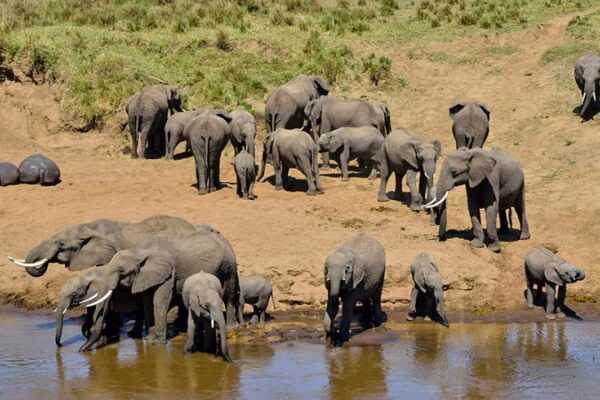 5-Day Kenya Adventure Safari Holiday