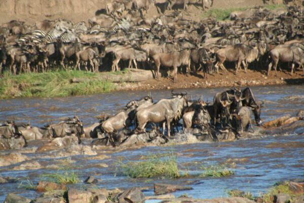 5-Day Kenya Wildlife Safari Holiday 5-Day Kenya Wildlife Safari Holiday