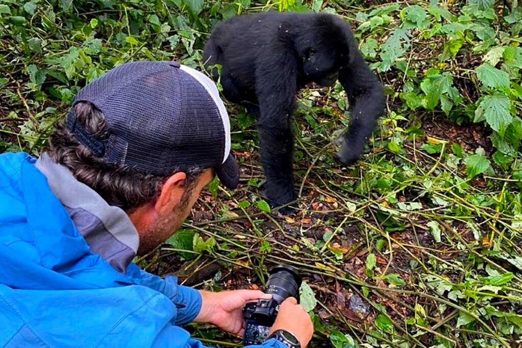 3 Days Rwanda Gorilla Trekking Safari
