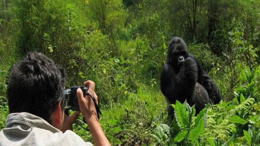 4 Days Rwanda Gorilla Trekking and Cultural Safari