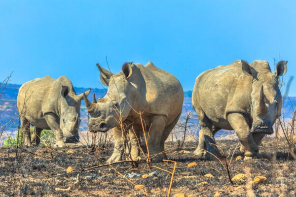 7-Day Off the Beaten Path Kenya Safari