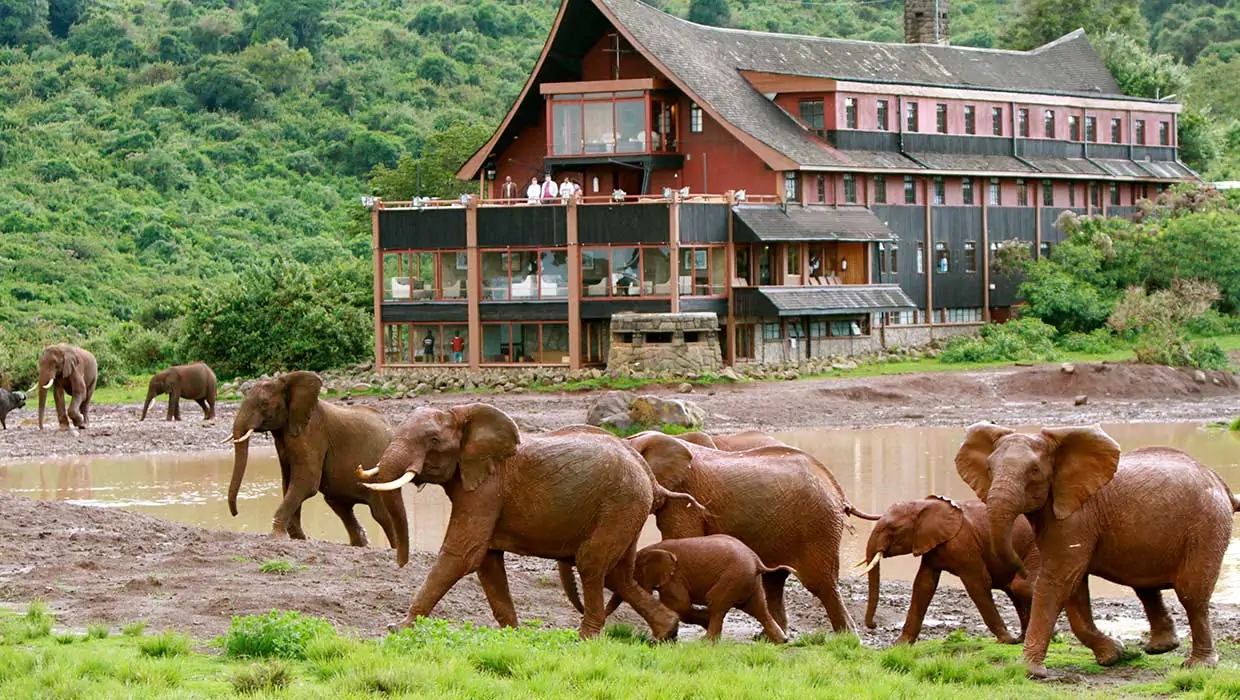 9-Day Luxury Big Kenya Safari Holiday