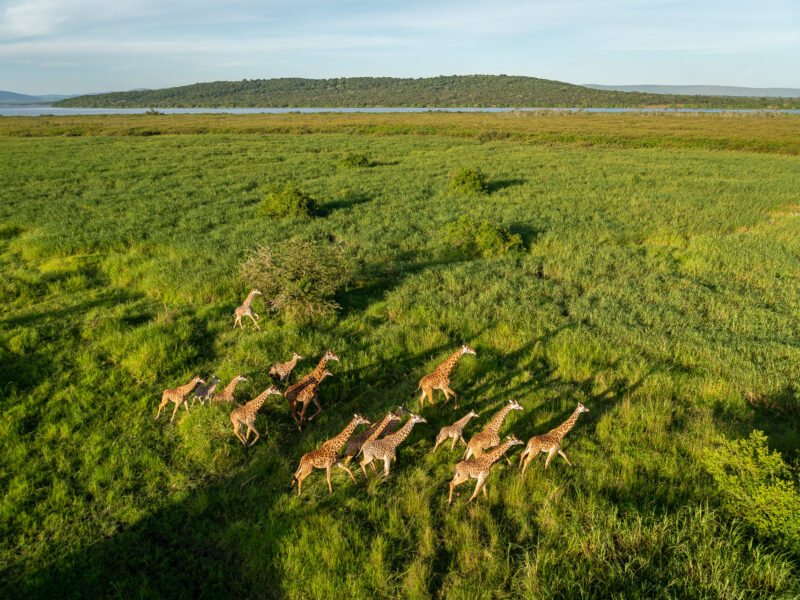 Akagera National Park Rwanda Wildlife Safaris
