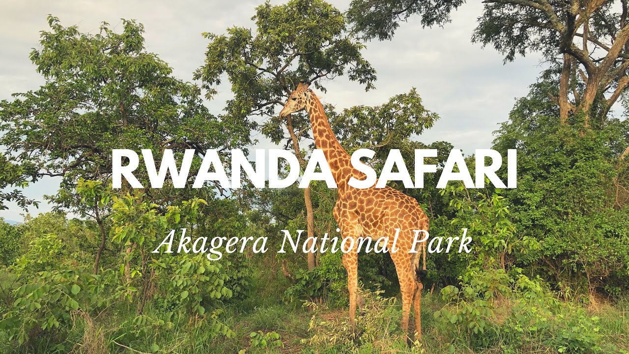 Akagera National Park