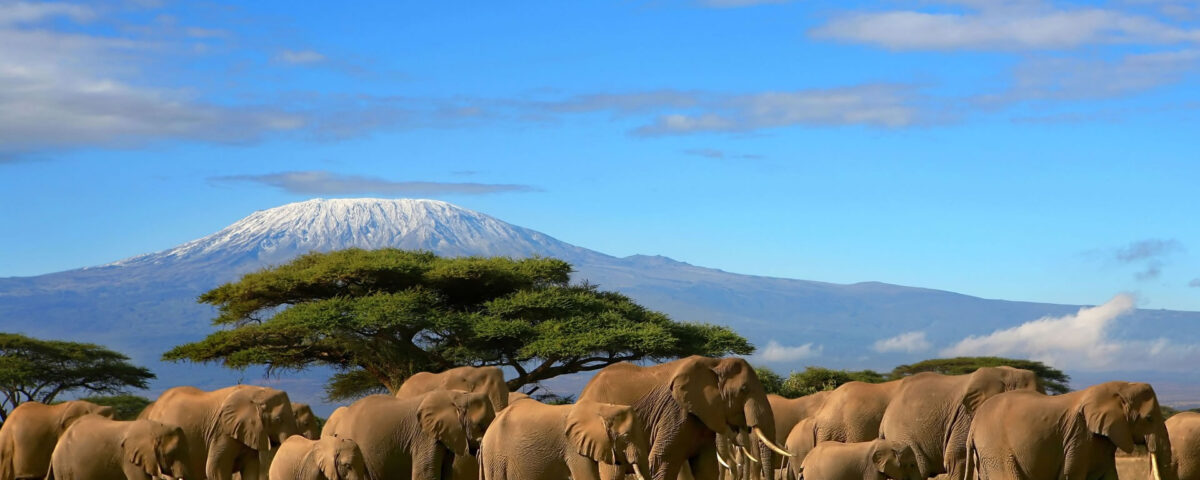 Amboseli National Park
