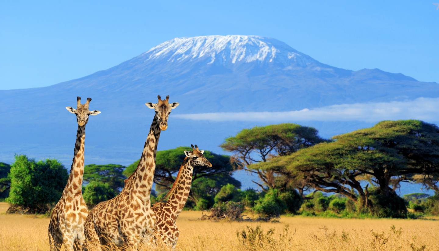 9-Day Magical Kenya Wildlife Safari and Beach Holiday