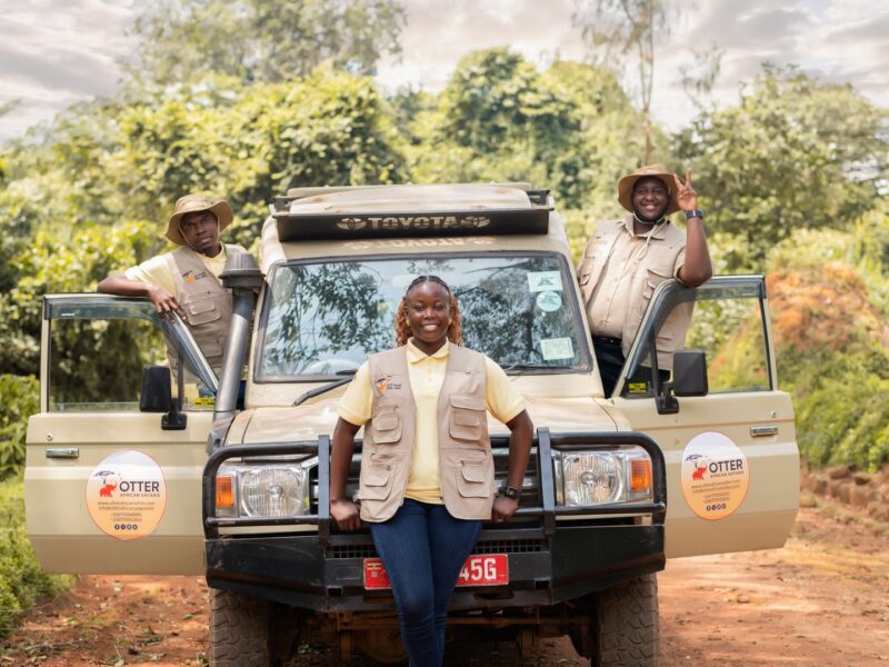African Safaris
