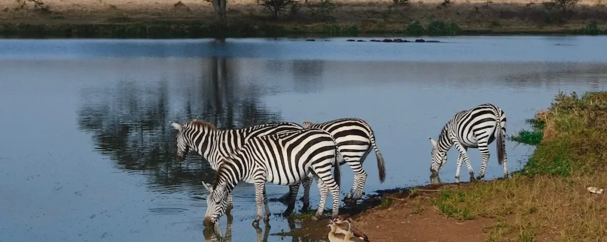 Nairobi National Park