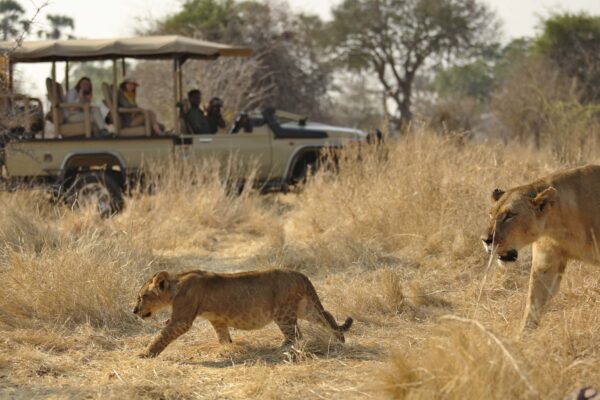 Ruaha-national-park-1