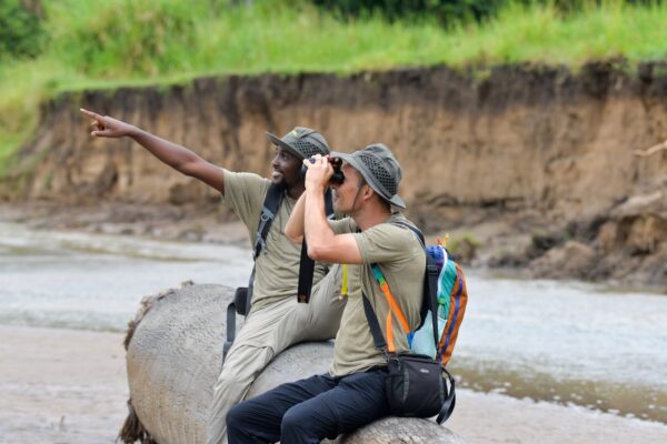 6-Day Majestic Tanzania Wildlife Luxury Safari