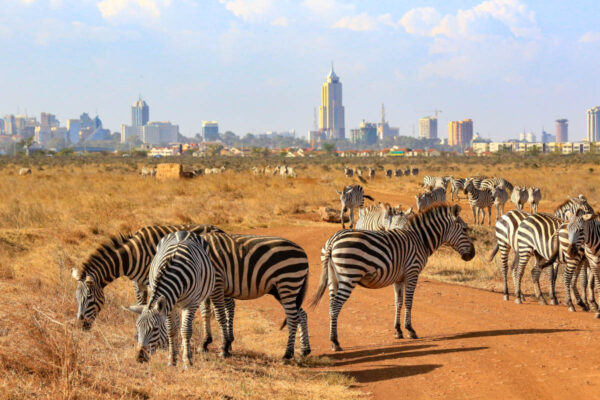 nairobi-national-park