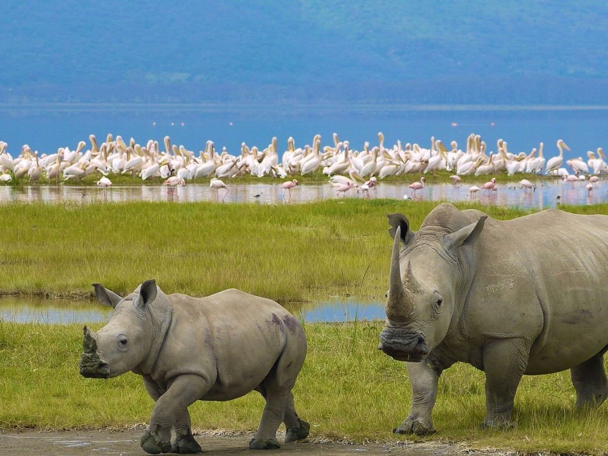 Lake Nakuru National Park