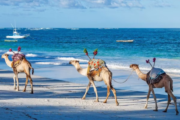 Kenya Beach Holiday Adventures