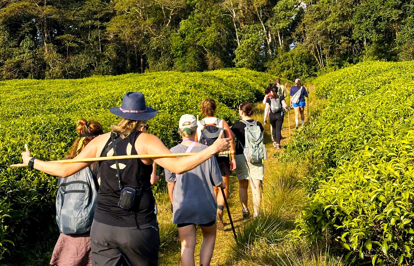 Rwanda Guided Safaris