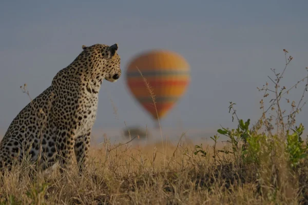 envogue-travel-kenya-hot-airballoon-safari