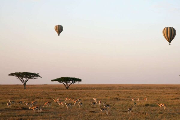 hot-air-balloon-safari Tanzania Hot Air Balloon Safari