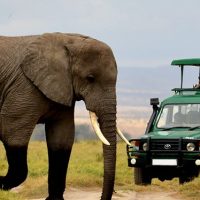 5-top-safari-activities-in-Akagera-national-park-