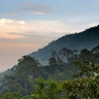 In-search-of-Bwindi’s-birds-and-waterfalls