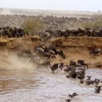 Masai-Mara-wildlife-reserve-1200x675