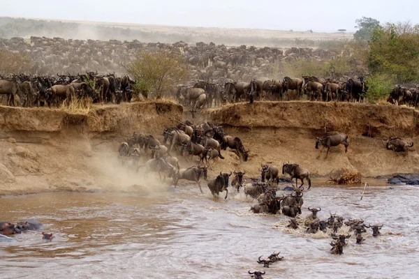 Masai-Mara-wildlife-reserve-1200x675