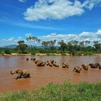 Samburu-National-Park