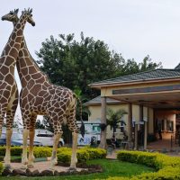 The-Uganda-Wildlife-Education-Center11-1024x675