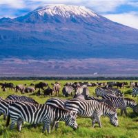 amboseli-NP-582x393-3-4