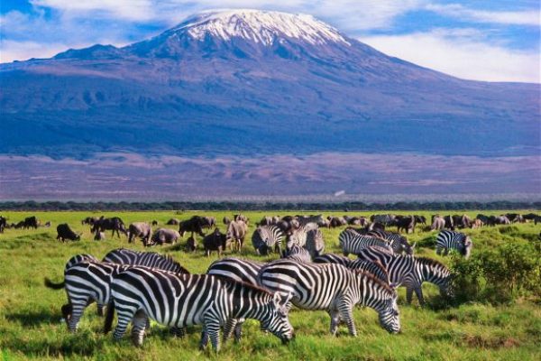 amboseli-NP-582x393-3-4