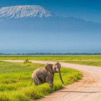 amboseli-national-park-1110x700