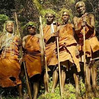 batwa-cultural-experience-bwindi