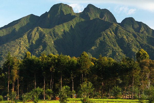 volcanoes-national-park-rwanda